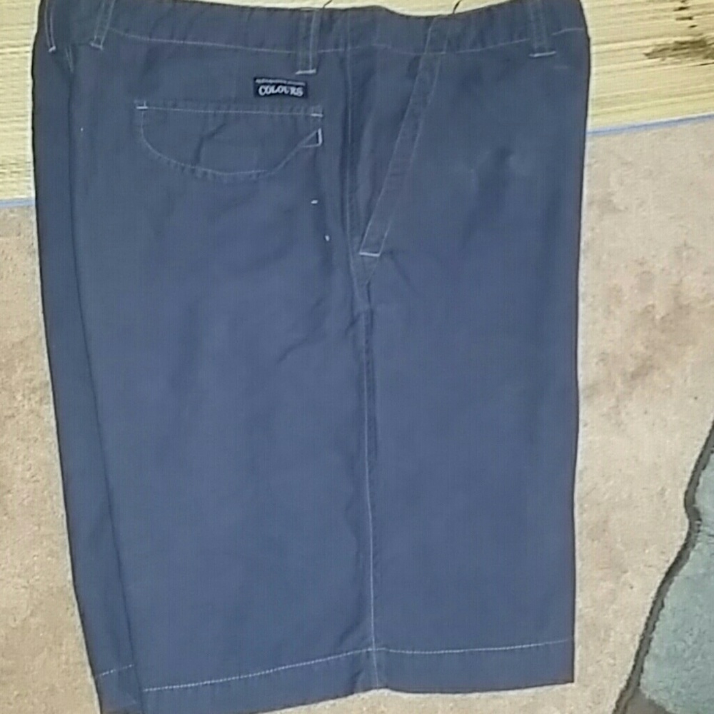 Alexander Julian Colours  Mens Shorts